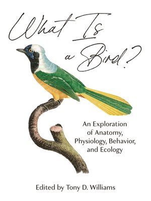 cover image of What Is a Bird?